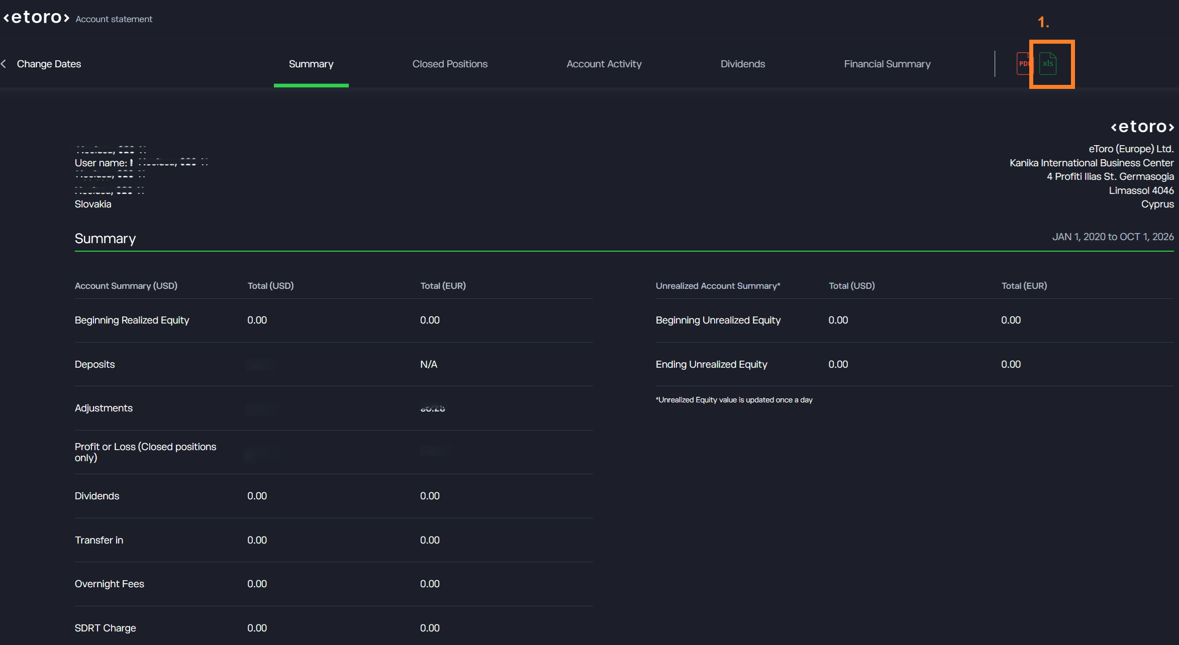 Zobrazený výpis účtu so záložkami Summary až Financial Summary a s ikonami PDF a xls vpravo hore